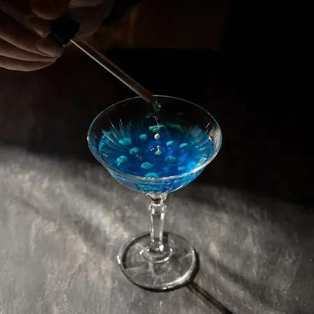 호텔 알마낙 바르셀로나